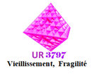Vieillissement, Fragilité (VieFra)
