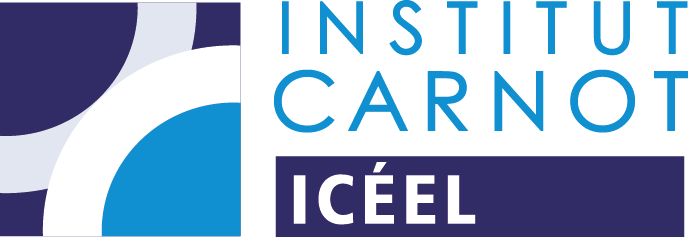 Institut Carnot ICEEL