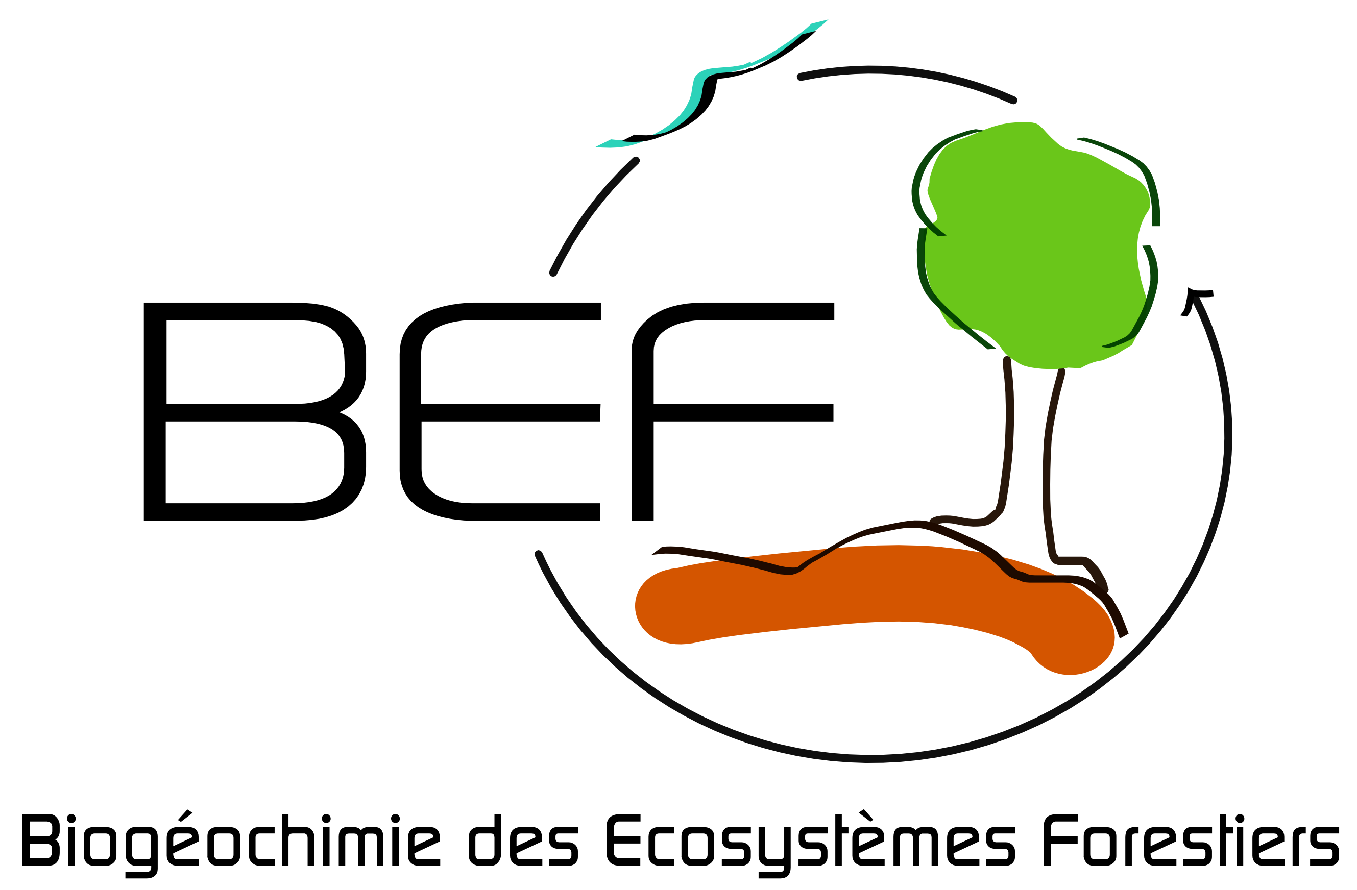 Biogéochimie des Écosystèmes Forestiers
