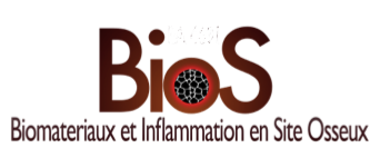 Biomatériaux et Inflammation en site OSseux (BIOS)